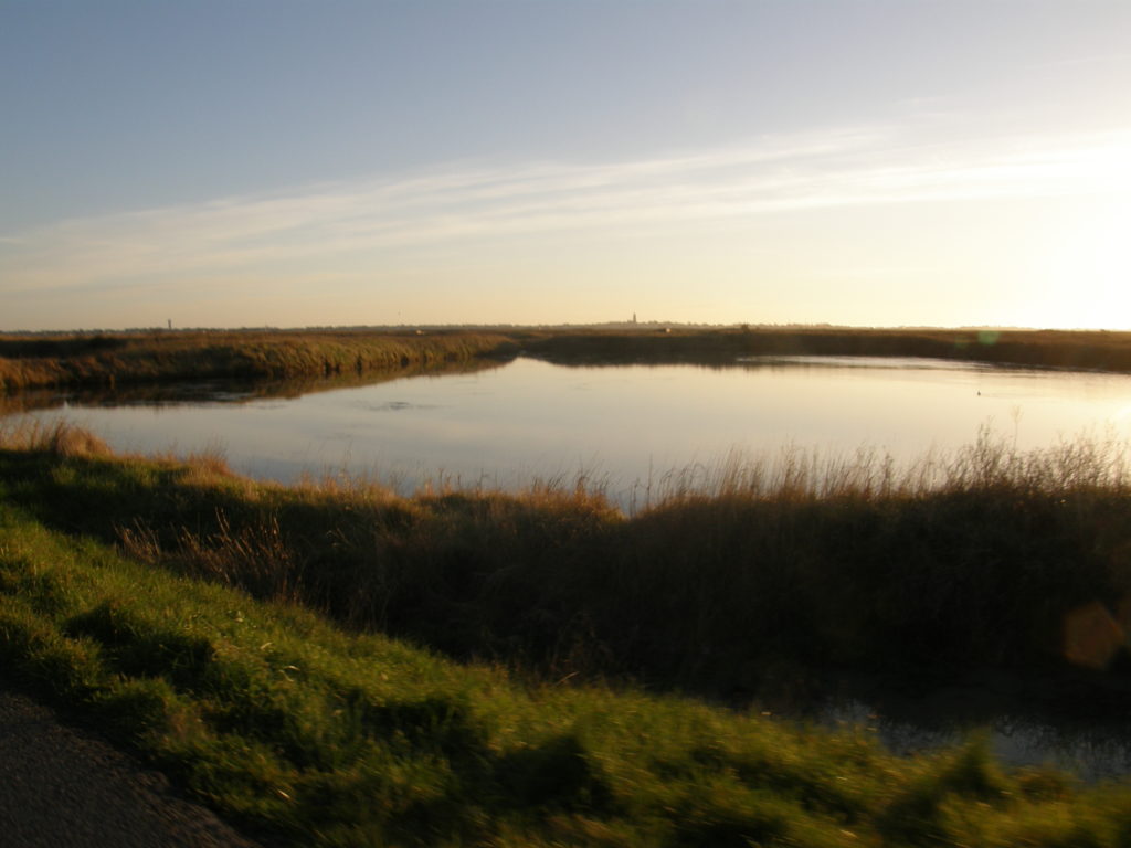 marais salants